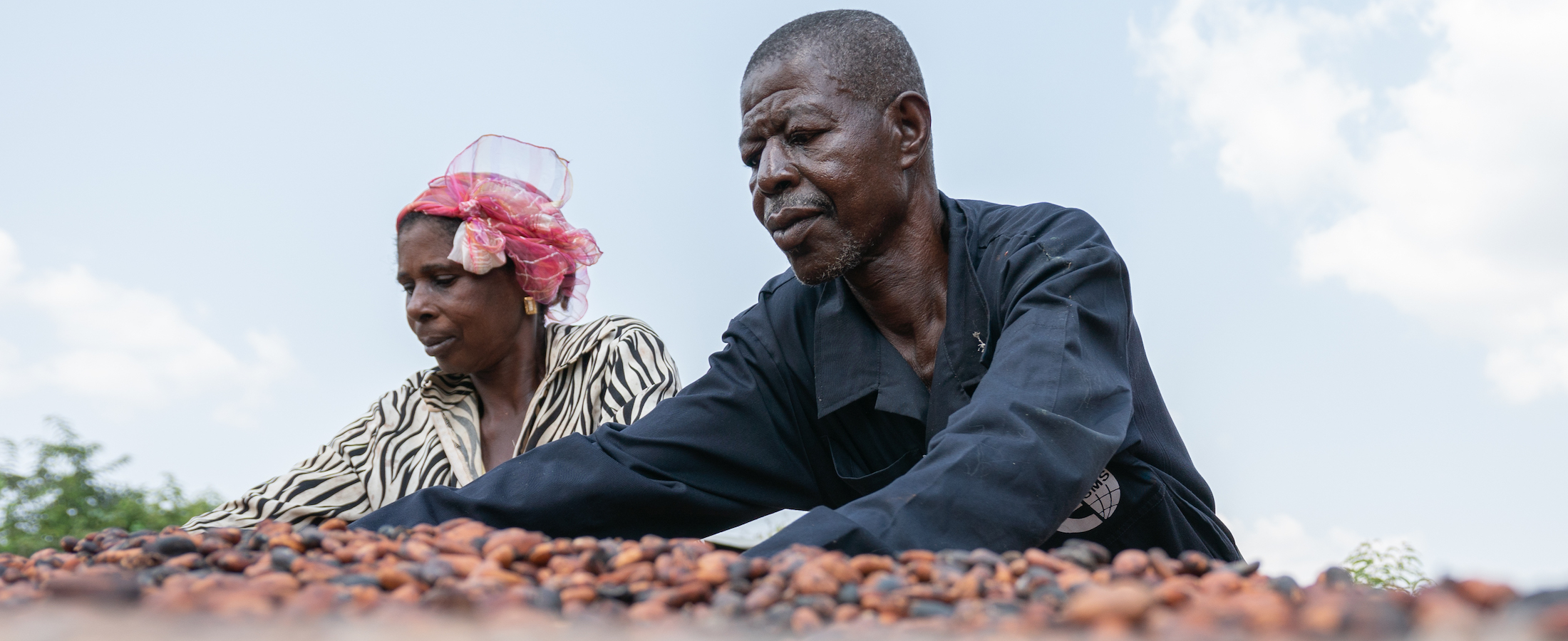 Two people with cocoa beans