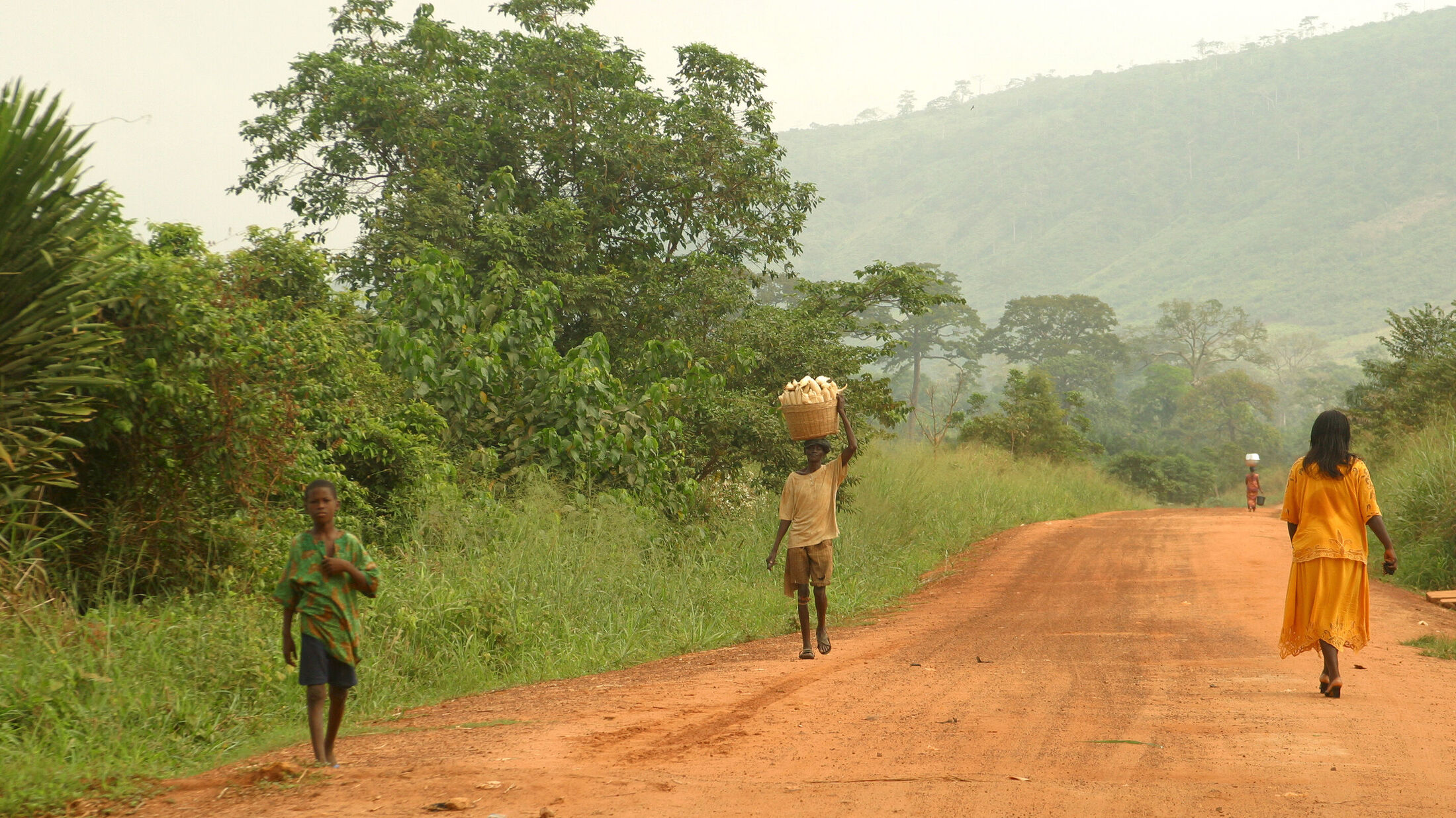 Challenges in the cocoa sector Kakaoplattform