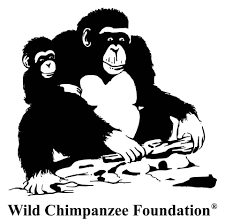 Logo Wild Chimpanzee Foundation