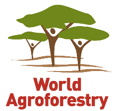 Logo ICRAF World Agroforestry Center